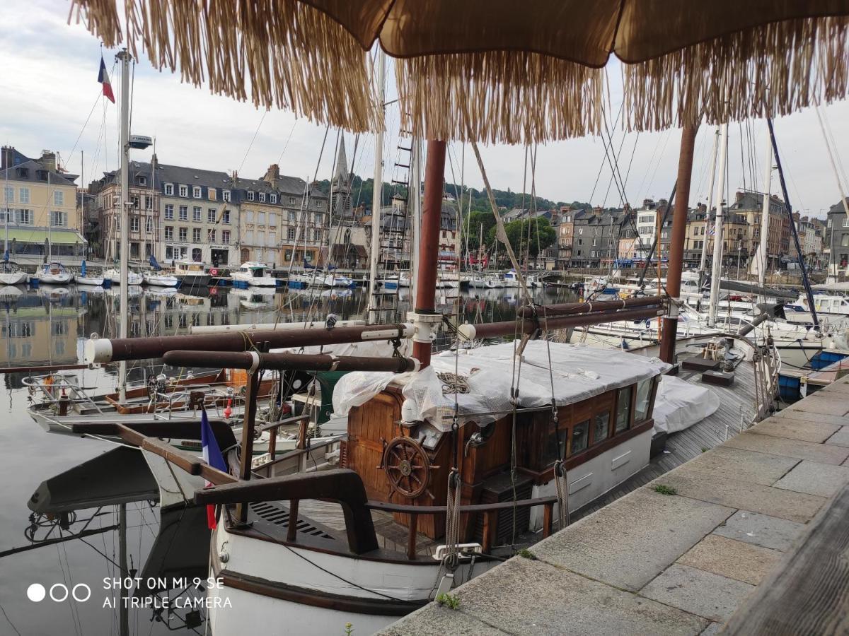 Proche Honfleur Gite Avec Piscine เอคโมวิลล์ ภายนอก รูปภาพ